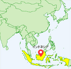 インドネシアの位置